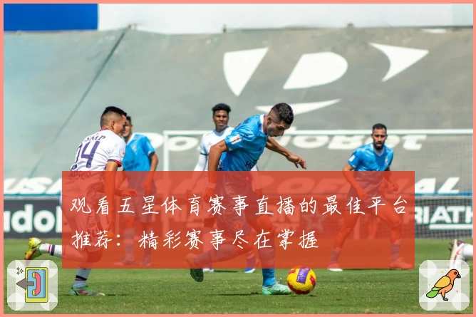 观看五星体育赛事直播的最佳平台推荐：精彩赛事尽在掌握
