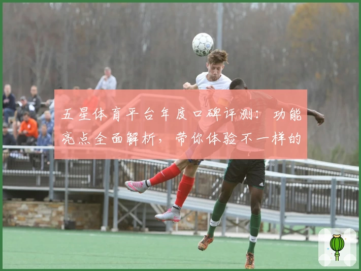五星体育平台年度口碑评测：功能亮点全面解析，带你体验不一样的运动魅力