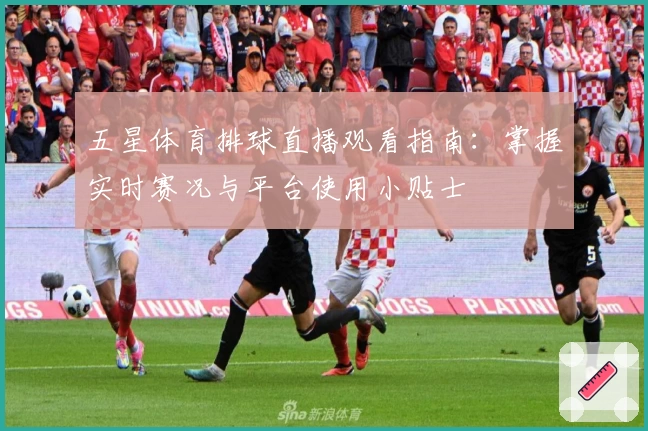 五星体育排球直播观看指南：掌握实时赛况与平台使用小贴士